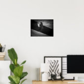 Schwarz-Weiß-Strassenkatzen-Fotografie Poster (Heimbüro)