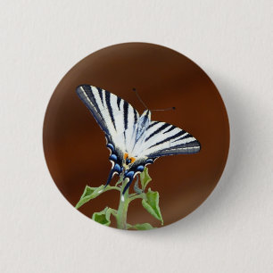 Schwarz-Weiß-Streifenschmetterling Button