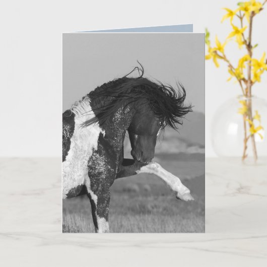 Schwarz & Weiß Strikes Wild Rose Grußkarte Karte (Gelbe Blume)