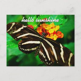 Schwarz-weiß Stripe Butterfly Hallo Sonnenschein-S Postkarte