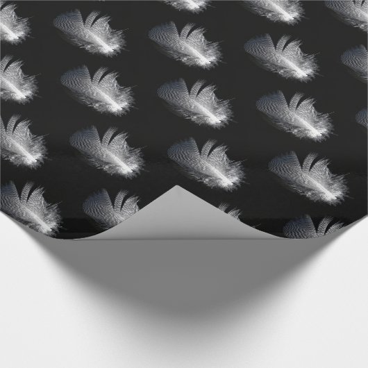 Schwarz-Weiß-Stripteppichfeder schwimmend auf eine Geschenkpapier (Ecke)
