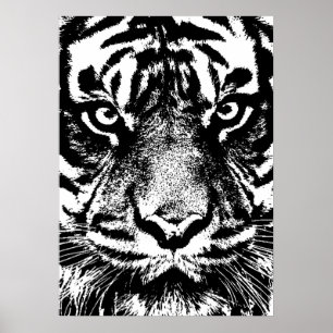 Schwarz-weiß Sumatran Borneo Tiger Eye Artwork Poster