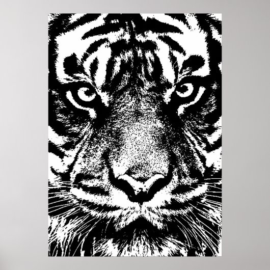 Schwarz-weiß Sumatran Borneo Tiger Eye Artwork Poster (Vorne)
