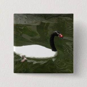 Schwarz-Weiß-Swan Button