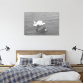 Schwarz-Weiß-Swan-Paar am See Leinwanddruck (Insitu (Schlafzimmer))