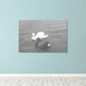 Schwarz-Weiß-Swan-Paar am See Leinwanddruck (Insitu (Holzboden))
