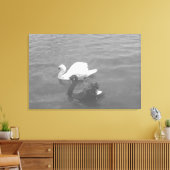 Schwarz-Weiß-Swan-Paar am See Leinwanddruck (Insitu (Wohnzimmer))