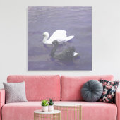 Schwarz-Weiß-Swan-Paar am See Leinwanddruck (Insitu (Wohnzimmer))