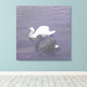 Schwarz-Weiß-Swan-Paar am See Leinwanddruck (Insitu (Holzboden))