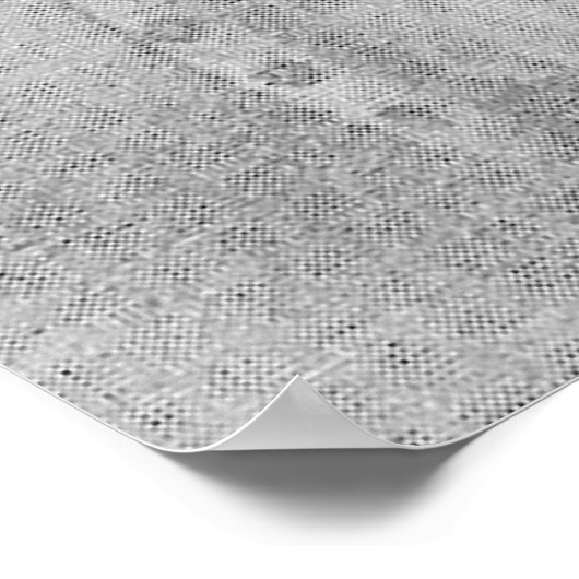 Schwarz-Weiß-Taucher Poster (Ecke)