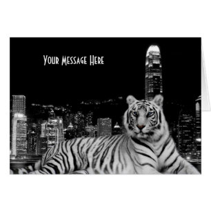 Schwarz-Weiß-Tiger