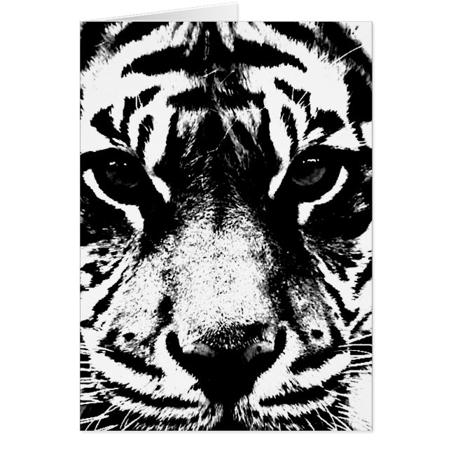 Schwarz-Weiß-Tiger (Vorne)