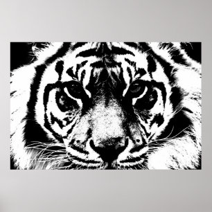 Schwarz-Weiß-Tiger-Augen Poster