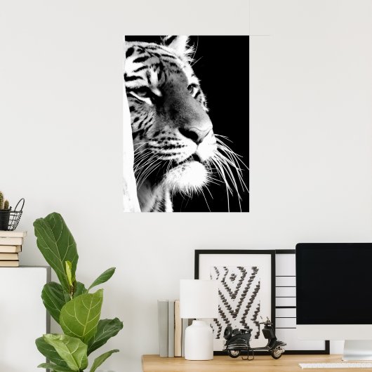 Schwarz-Weiß-Tiger-Augen Poster (Heimbüro)