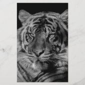 Schwarz-Weiß-Tiger Briefpapier (Vorderseite)