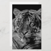 Schwarz-Weiß-Tiger Briefpapier (Vorne/Hinten)
