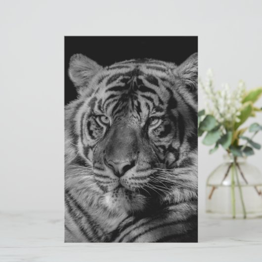 Schwarz-Weiß-Tiger Briefpapier (Stehend Vorderseite)