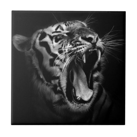 Schwarz-Weiß-Tiger Fliese (Vorderseite)