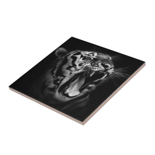 Schwarz-Weiß-Tiger Fliese (Seite)