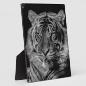 Schwarz-Weiß-Tiger Fotoplatte (Seite)