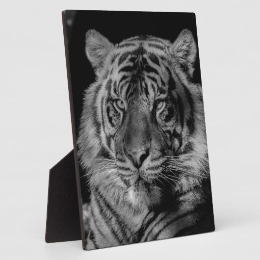 Schwarz-Weiß-Tiger Fotoplatte (Seite)