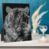 Schwarz-Weiß-Tiger Fotoplatte (Seite)