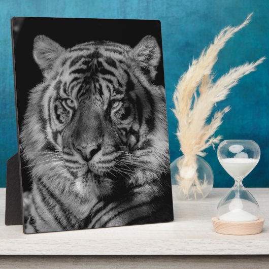 Schwarz-Weiß-Tiger Fotoplatte (Seite)
