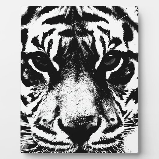 Schwarz-Weiß-Tiger Fotoplatte (Vorderseite)