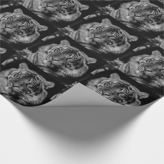 Schwarz-Weiß-Tiger Geschenkpapier (Ecke)