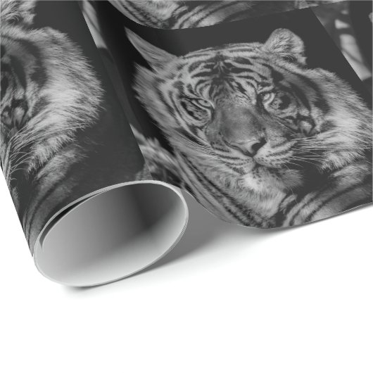 Schwarz-Weiß-Tiger Geschenkpapier (Rolleneckpunkt)