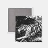 Schwarz-Weiß-Tiger Magnet (Vorderseite/Rückseite)