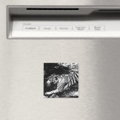 Schwarz-Weiß-Tiger Magnet (In Situ (Geschirrspüler))
