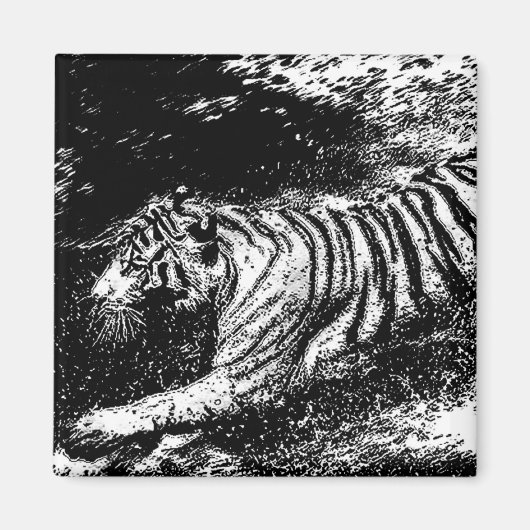 Schwarz-Weiß-Tiger Magnet (Vorne)