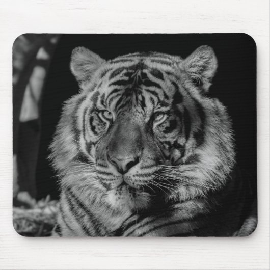 Schwarz-Weiß-Tiger Mousepad (Vorne)