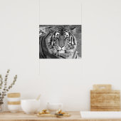 Schwarz-Weiß-Tiger Poster (Küche)