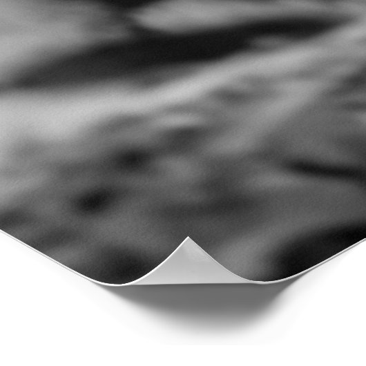 Schwarz-Weiß-Tiger Poster (Ecke)