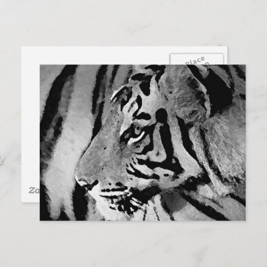 Schwarz-Weiß-Tiger Postkarte (Vorne/Hinten)