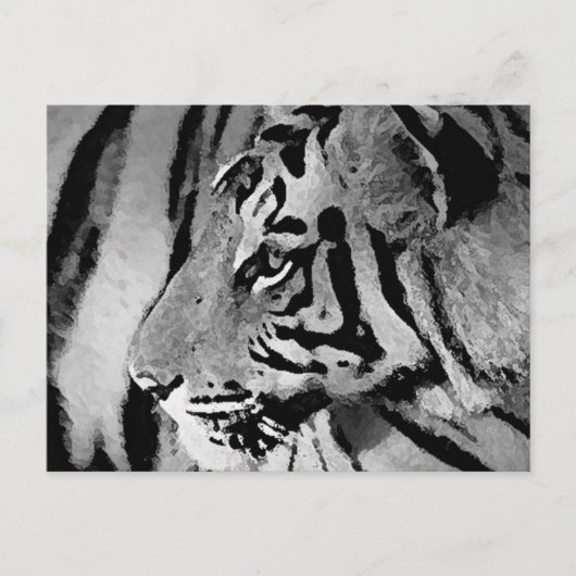 Schwarz-Weiß-Tiger Postkarte (Vorderseite)