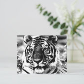 Schwarz-Weiß-Tiger Postkarte (Stehend Vorderseite)