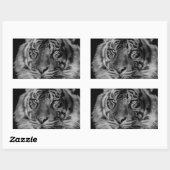 Schwarz-Weiß-Tiger Rechteckiger Aufkleber (Blatt)