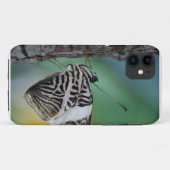 Schwarz-Weiß-Tiger-Schmetterling Case-Mate iPhone Hülle (Rückseite (Horizontal))