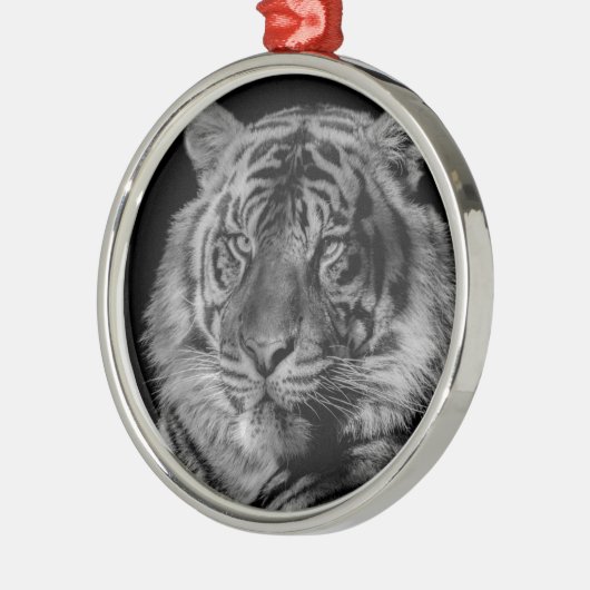 Schwarz-Weiß-Tiger Silbernes Ornament (Links)