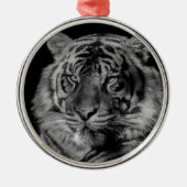 Schwarz-Weiß-Tiger Silbernes Ornament (Vorne)