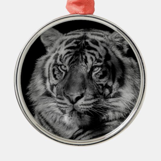 Schwarz-Weiß-Tiger Silbernes Ornament (Vorne)