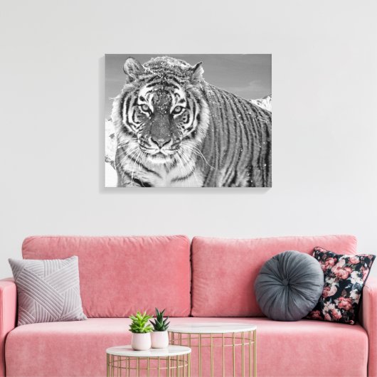 Schwarz-Weiß-Tiger Winterschnee im Foto Leinwanddruck (Insitu (Wohnzimmer))