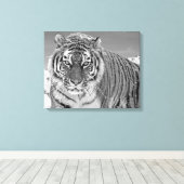 Schwarz-Weiß-Tiger Winterschnee im Foto Leinwanddruck (Insitu (Holzboden))