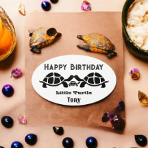 Schwarz-Weiß-Tortoise