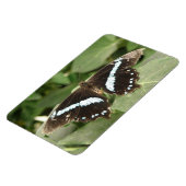 Schwarz-Weiß-Tropenschmetterling Flexi Magnet (Linke Seite)