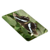 Schwarz-Weiß-Tropenschmetterling Flexi Magnet (Rechte Seite)