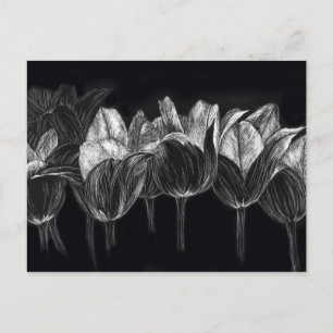 Schwarz-weiß Tulip Garden Blume Scratchboard Postkarte